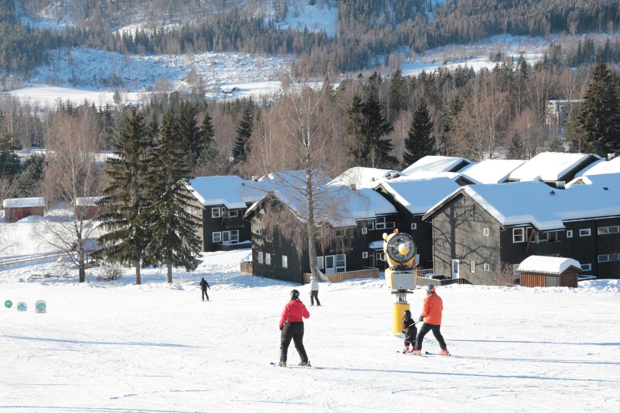 Alpinlandsby Pluss Appartement