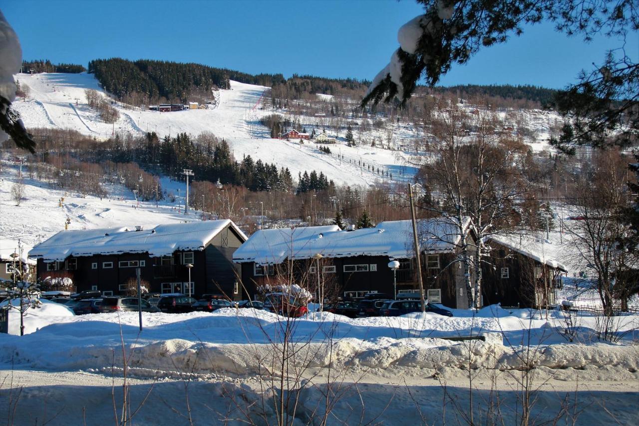 Appartement Alpinlandsby Pluss